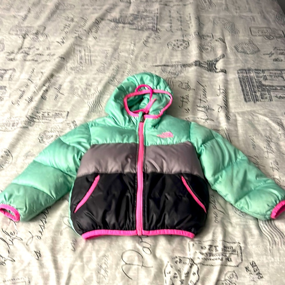 The north face down jacket